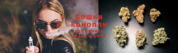 дурь Белоозёрский