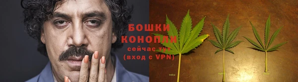 дурь Белоозёрский